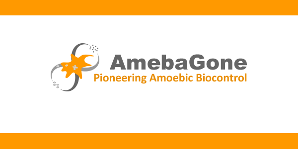 AmebaGone