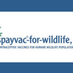 SpayVac